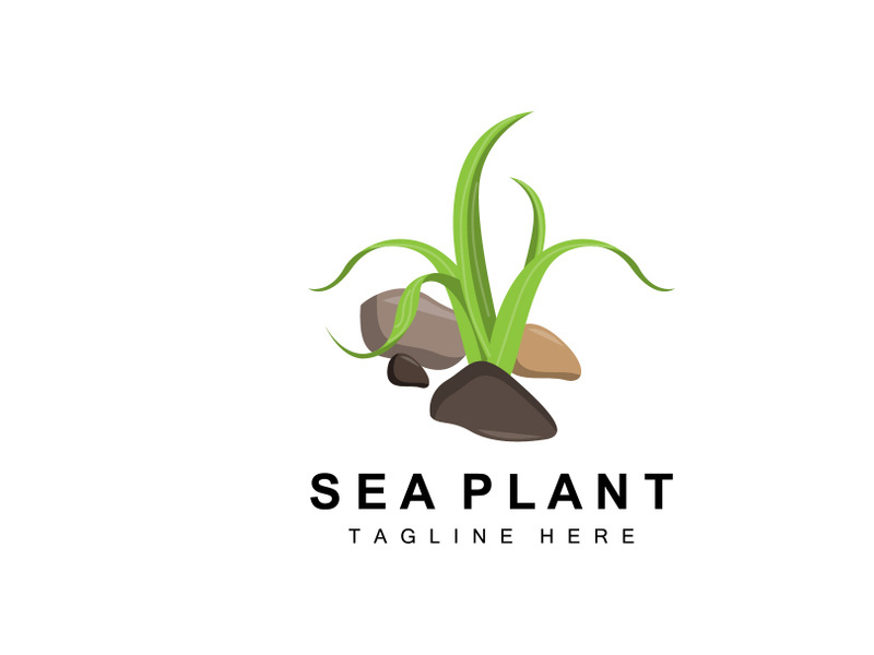 Seaweed Logo, Sea Plants Vector Design, Grocery And Nature Protection