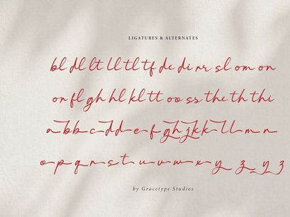 Pelagrium | Handwritten Script