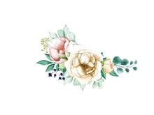 Vector Flower Watercolor Illustration