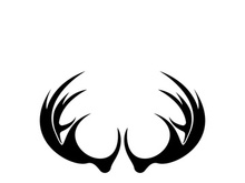 Deer logo template vector icon illustration design
