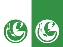 Butterfly logo icon vector design illustration