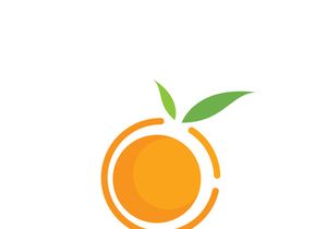 Orange logo icon Vector illustration