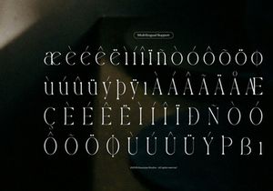 Yerindar | Modern Display Serif