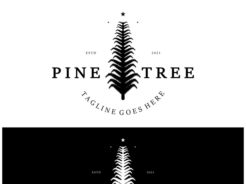 simple pine or fir tree logo,evergreen.for pine forest,adventurers,camping,nature,badges and business.vector