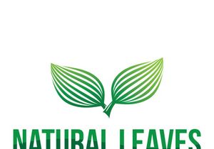 Leaf logo