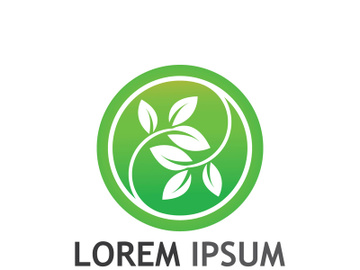 Natural green leaf logo. preview picture