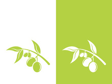 olive icon vector illustration design template
