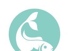 Fish logo template. Creative vector symbol