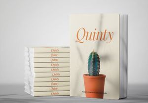 Quinty a Luxury Serif Font Family