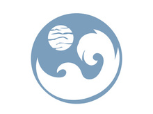 Wave logo