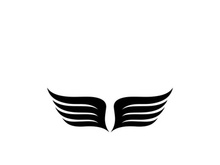 Wing illustration logo and symbol vector