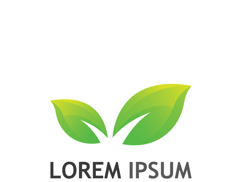 Colorful natural leaf logo design.
