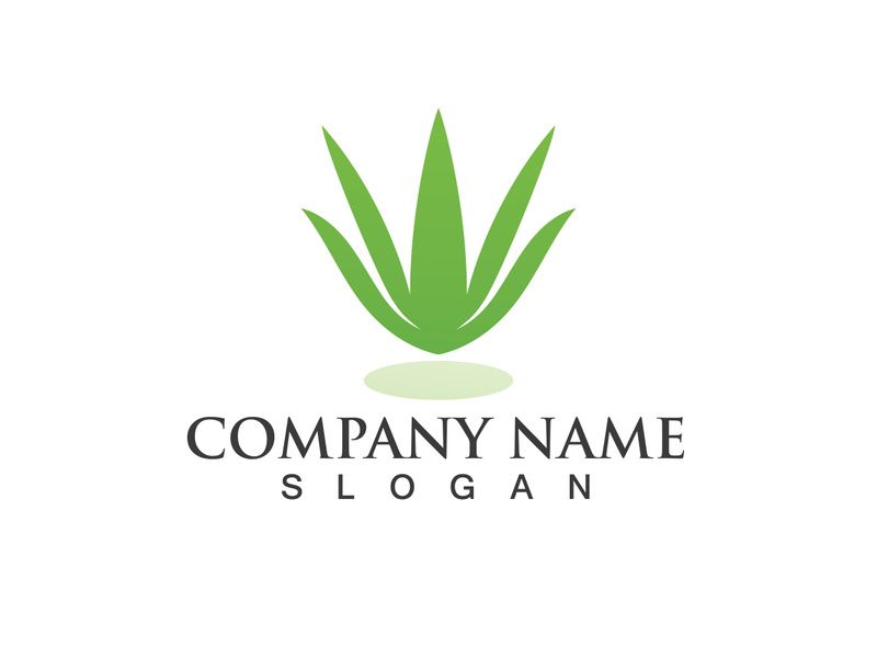 Aloe vera logo vector ilustration template