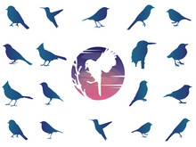 Animals : Silhouette Collection With Logo