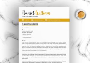 Professional Word Resume Template