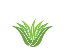 Aloe Vera logo icon design symbol beauty skin care