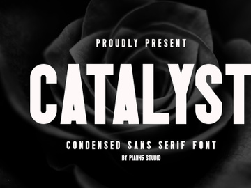 Catalyst - Condensed Sans Serif preview picture