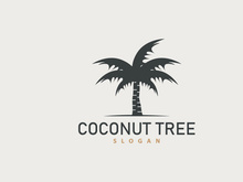 Coconut Tree Logo, Palm Tree Plant Vector