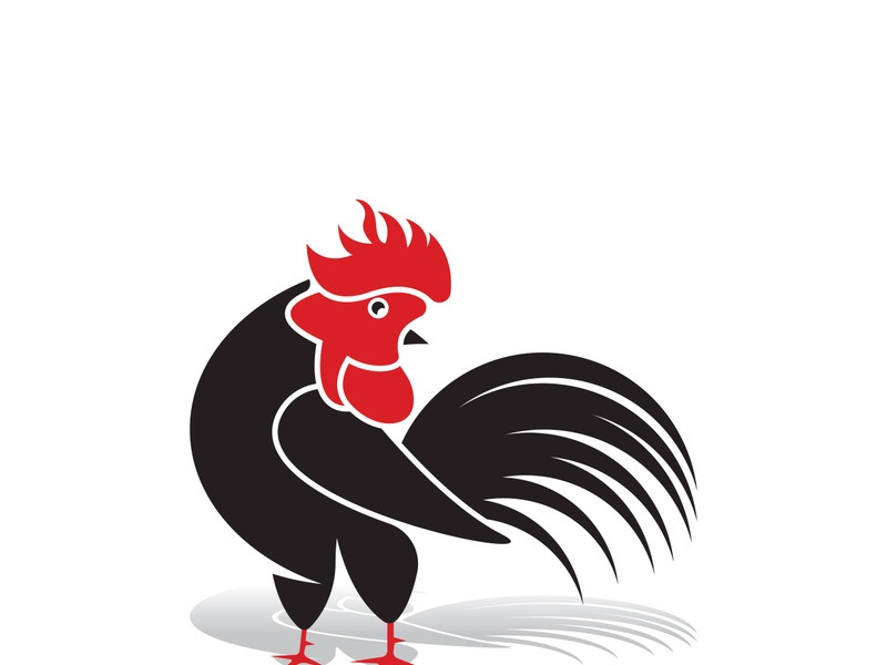 Rooster logo icon vector and symbol template design illustration