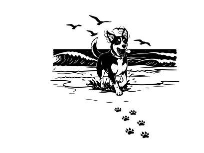 Dog silhouette playing on beach with seagulls flying overhead