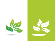 Green tree leaf nature logo images illustration design