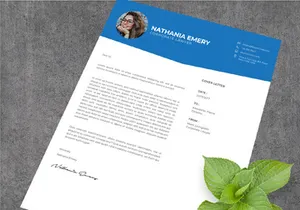 Professional CV Resume - Corporate Lawyer