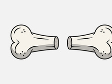 Broken Bone. Bone Fracture. Cute Dog Crack and Splint Bones. Dangerous Situation by Trauma to the Body. Vector Illustration for T Shirt Design and Other Usages.