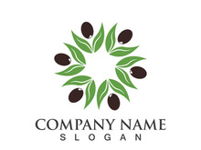 Extra virgin olive oil logo icon design vector illustration