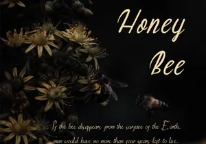 Jennie Modern Handwritten Font