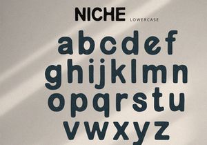 Niche - Rough Display