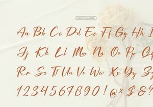 Waiting Cassey | Handwritten Script Font