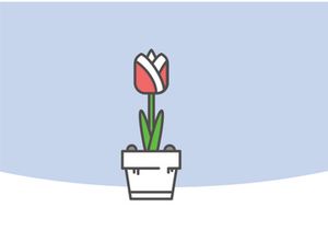 Indor Flower Vector Illustration