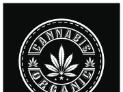 Mariuhana leaf symbol, marijuana or hemp icon, cannabis medical sign, weed drug vector illustration