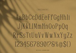 Reftoliya | Modern Serif Font
