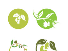 olive icon vector illustration design template