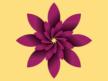 Elegant Flower design in Adobe illustrator