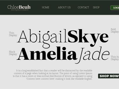 Mount Sagilite – Modern Serif Family Typeface with Variable Font
