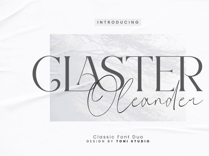 Claster Oleander