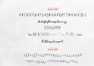 Wildy Sign Signature Font