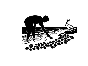 Silhouette of a person collecting seashells on a beach with a pelican preview picture