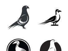 Elegant bird logo icon design and symbol vector template