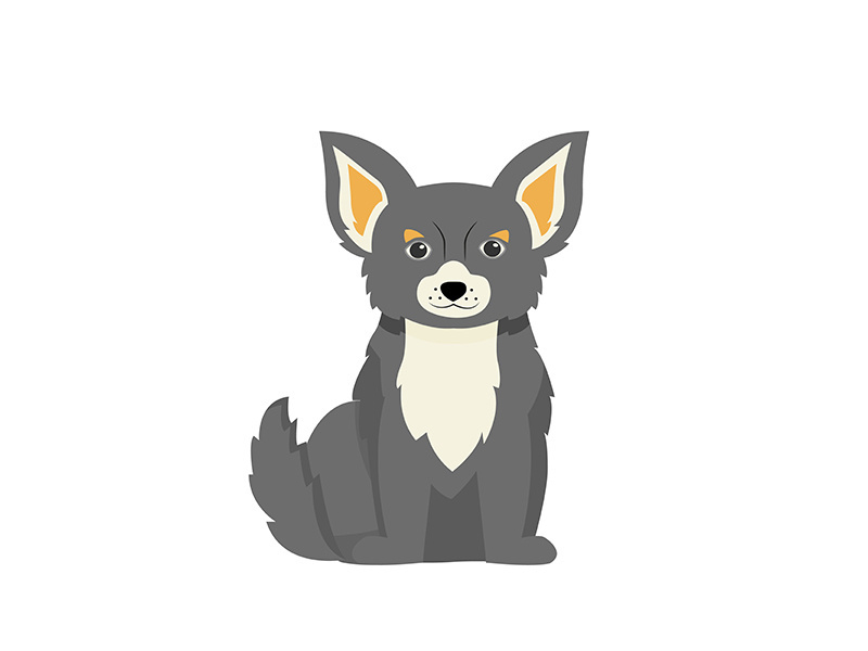 Grey terrier flat color vector character