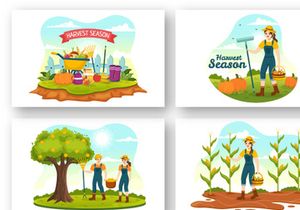 15 Harvest Season Vector Illustration