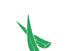 Aloe Vera logo icon design symbol beauty skin care