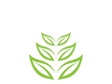 Green leaf ecology nature element vector icon