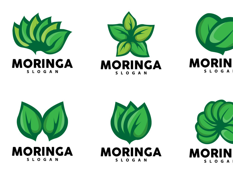 Leaf Logo, Eco Green Plant Vector, Green Earth