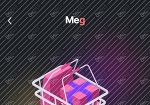 SHOPPING MEG