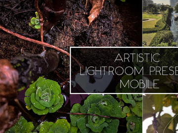 Plant Lightroom Preset preview picture