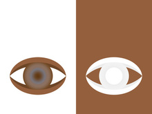 Branding identity corporate eye care vector logo design