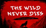 Midnil Brush – Wild Stroke Display Font